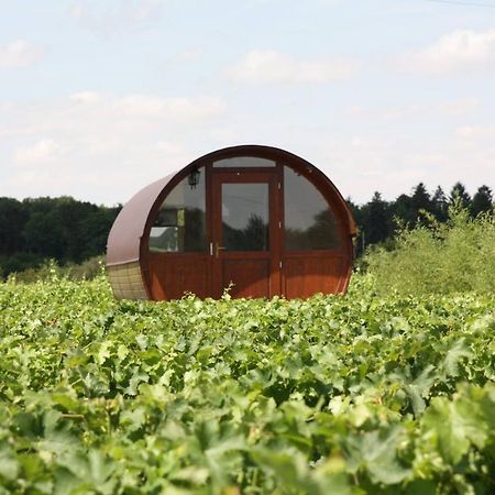 Les Hebergements D'Osmose Cheverny Exterior foto