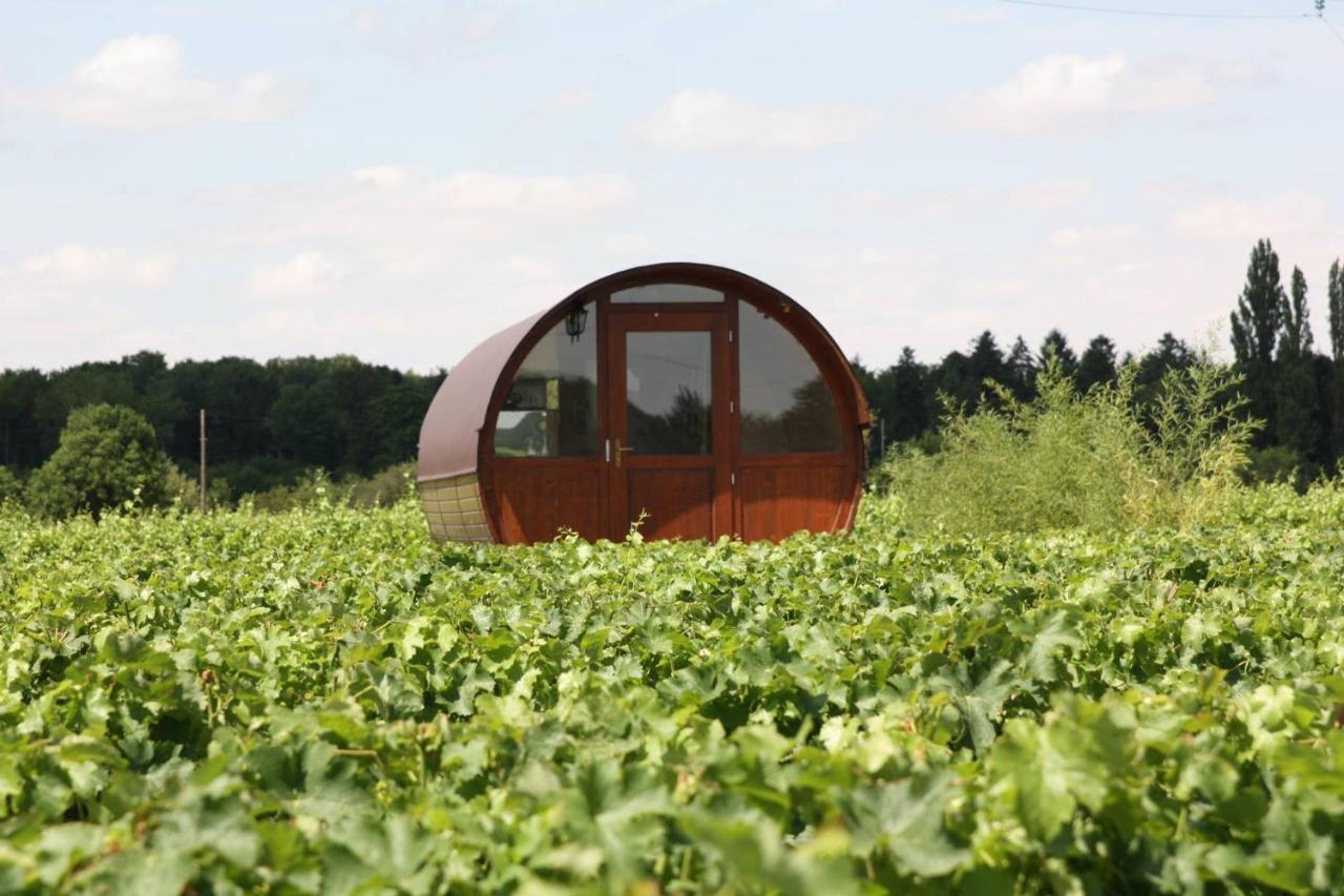 Les Hebergements D'Osmose Cheverny Exterior foto